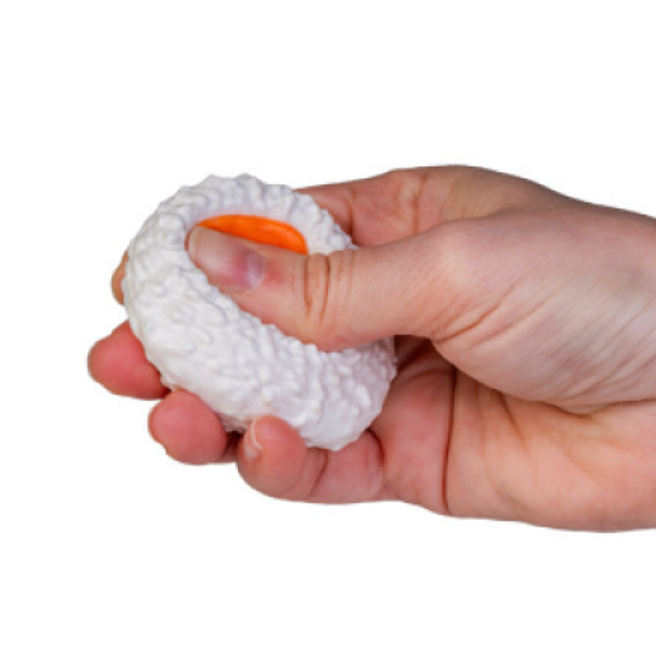 Fidget Sushi Platter Includes Squishy