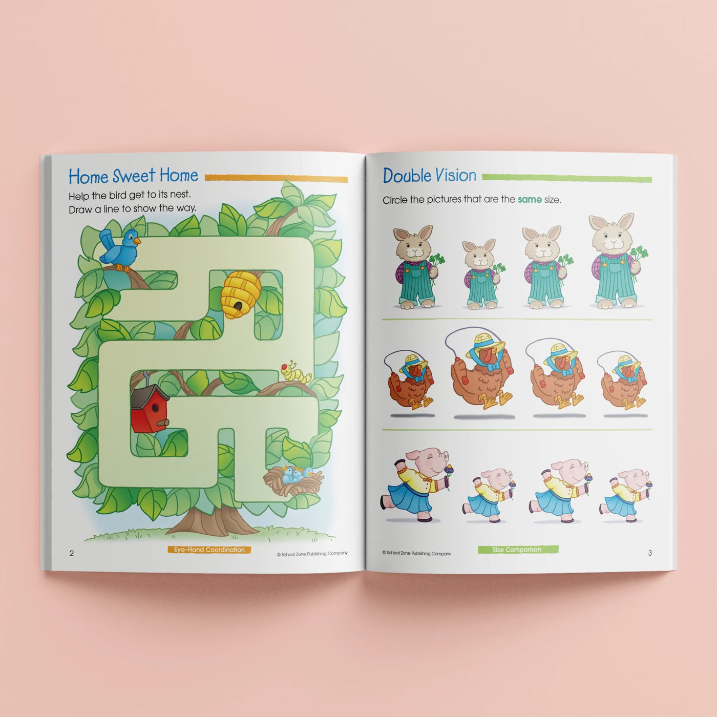 Preschool Basics Workbook