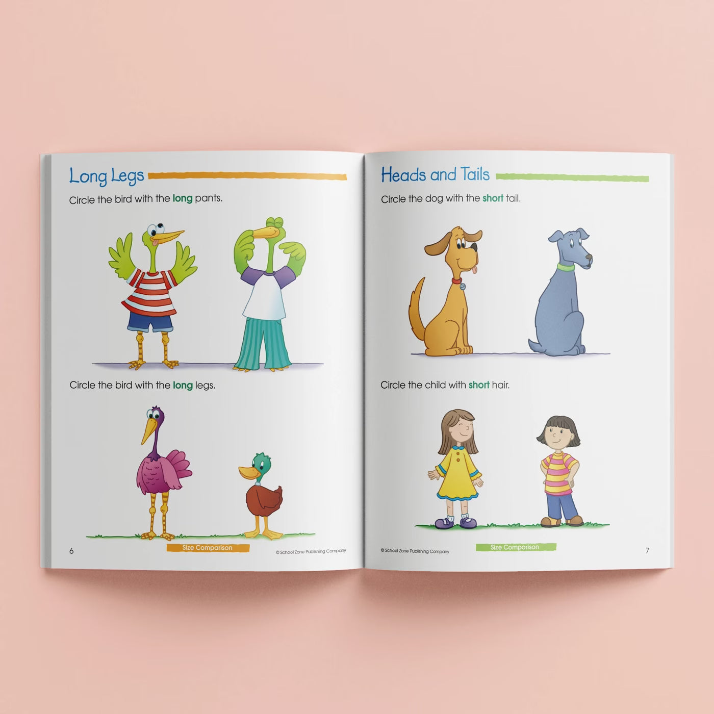 Preschool Basics Workbook