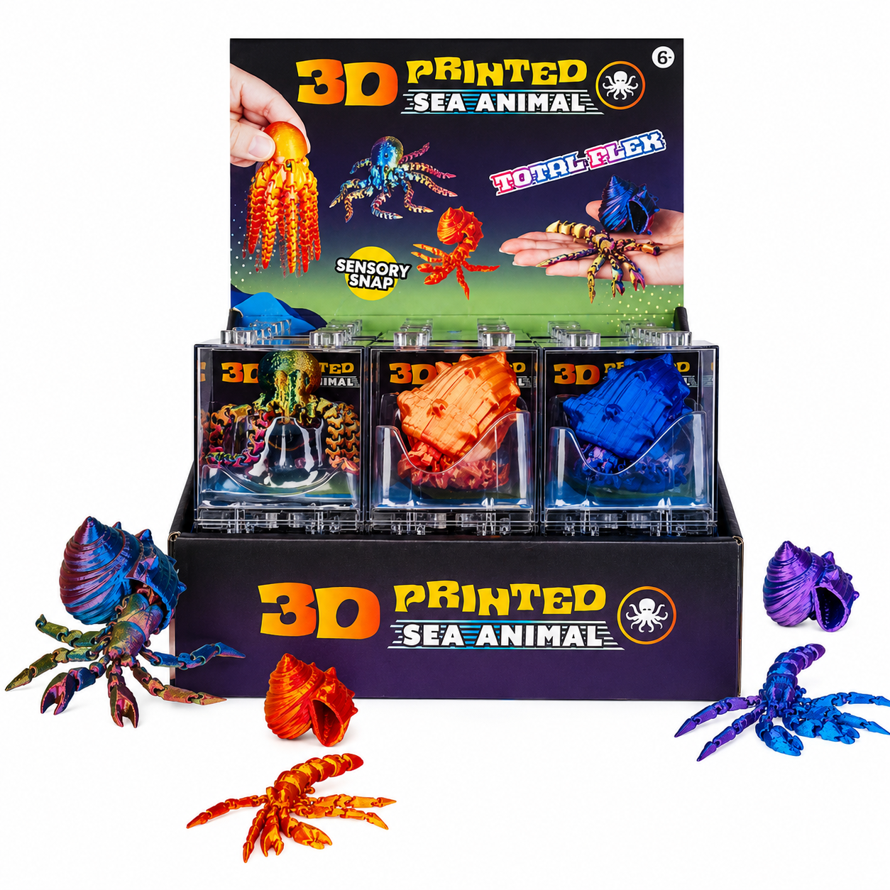 3D Sensory Fidget Hermit Crab